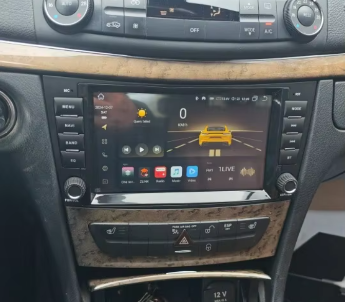 CLS W219