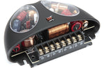 MOREL VIRTUS 603